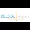 Delsol Avocats Photo